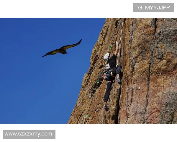 广州攀岩队的控制策略与训练方法探讨攀岩热点解析 广州攀岩队的控制策略与训练方法探讨攀岩热点解析